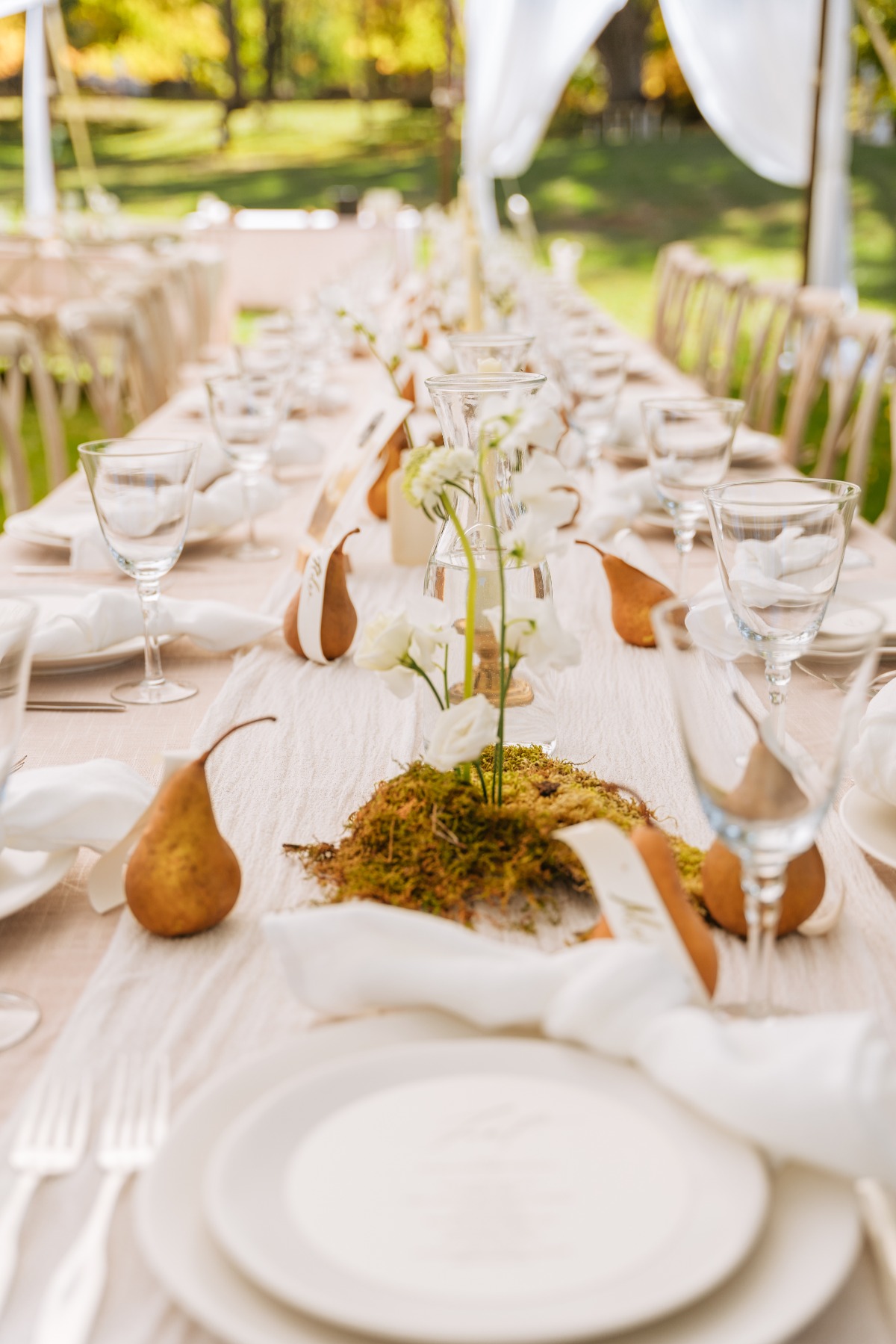 Pear table runners