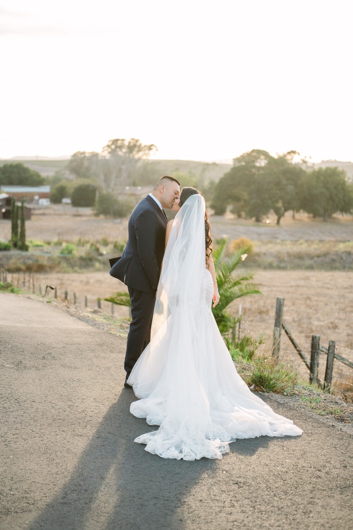 Napa sunset bride and groom 