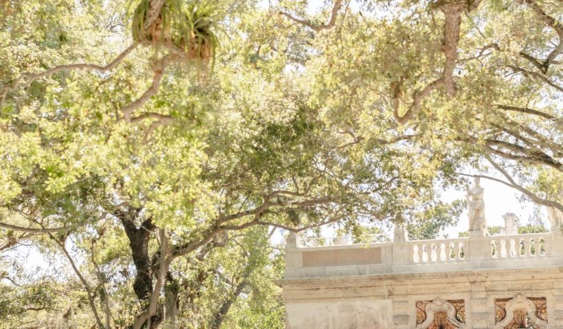 A refined Miami garden wedding full of natural beauty and luxury