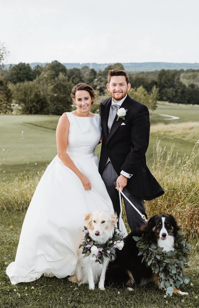 Wedding with dogs