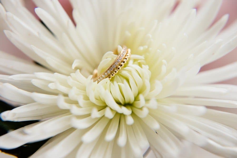 Classic engagement ring, wedding ring and clip-on ring by goldsmith Judith Lorenz (Skusa jewelry stories) from Munich