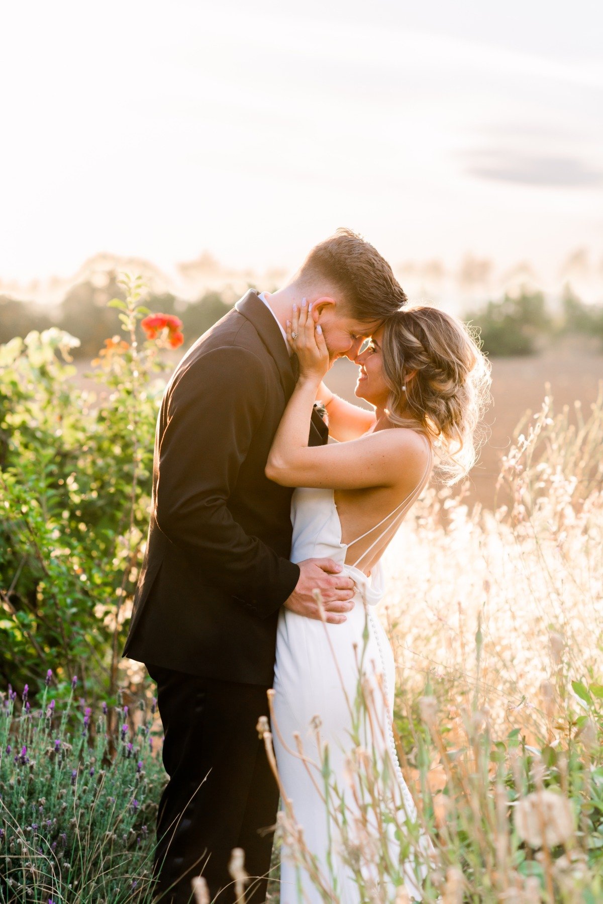 Golden hour photos at Park Winters California