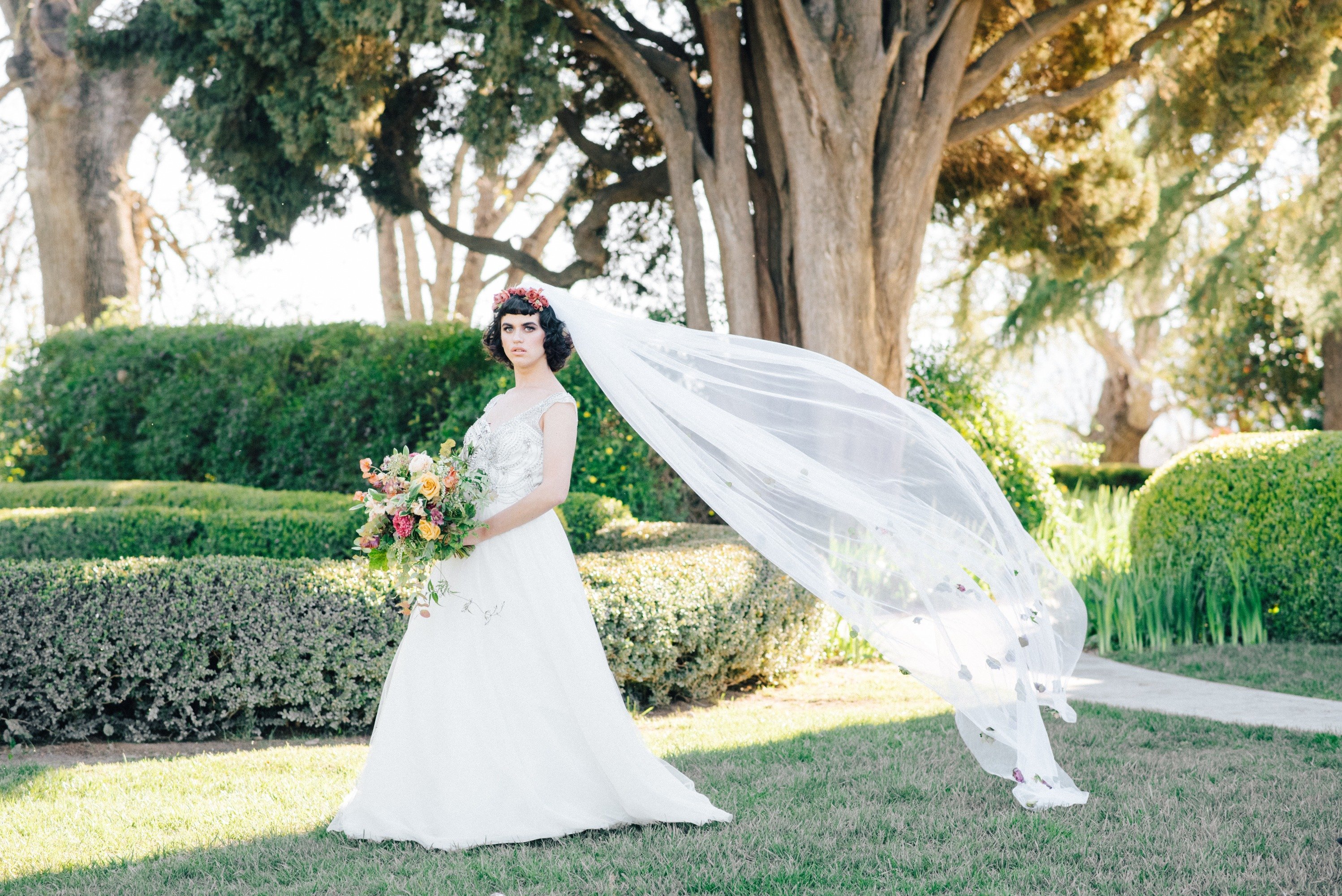 Veil toss portrait at Park Winters 