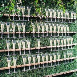 Champagne Wall Wedding