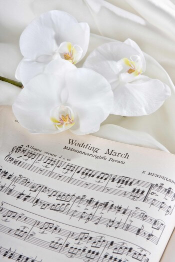 Music and songs for the registry office
