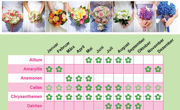 Flowers Lexicon Wedding Flower