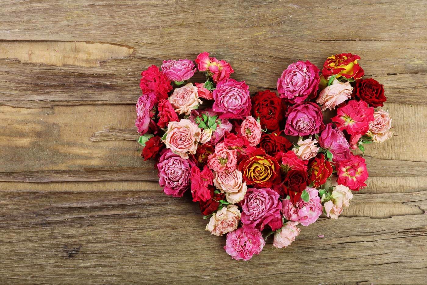 Bridal bouquet dry