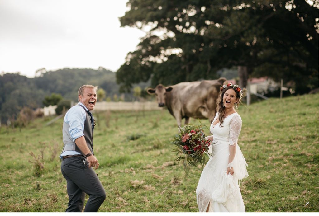 Bride and groom on a Meadow with cow 