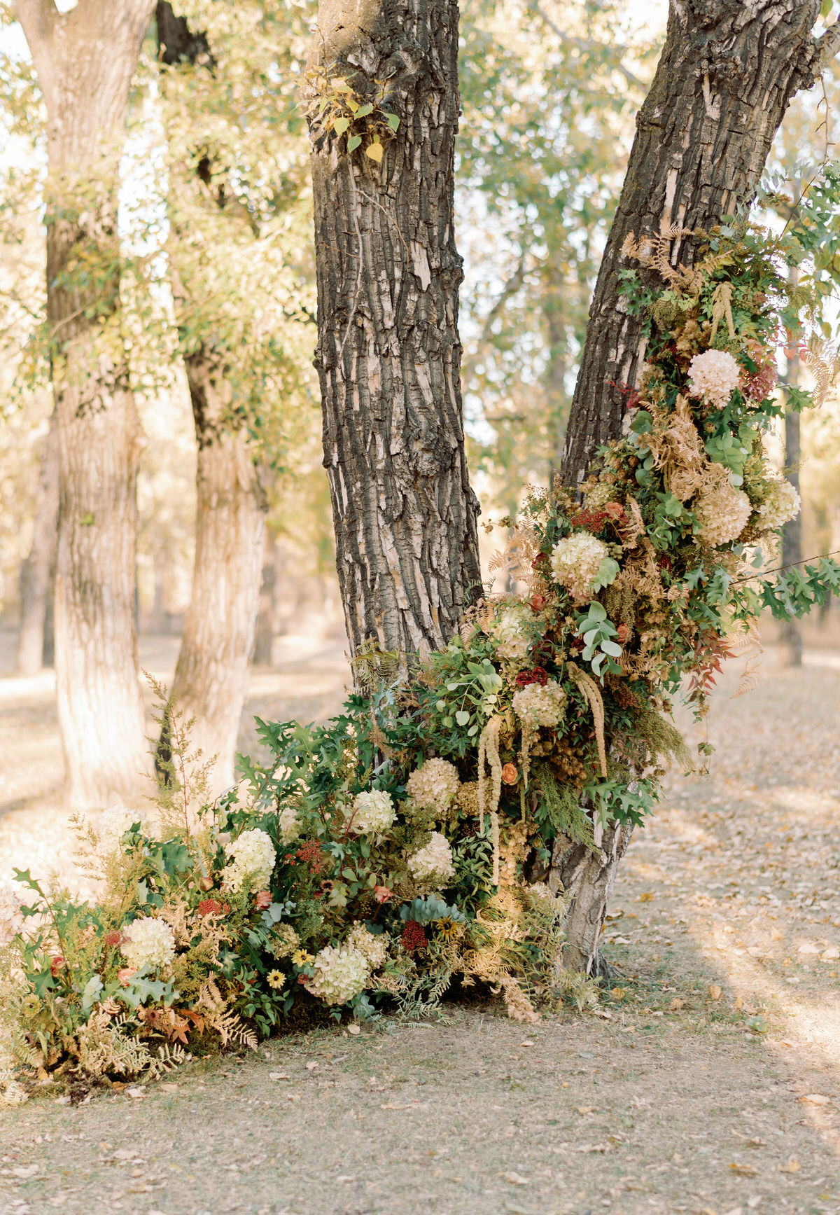 Intimate Autumnal Wedding