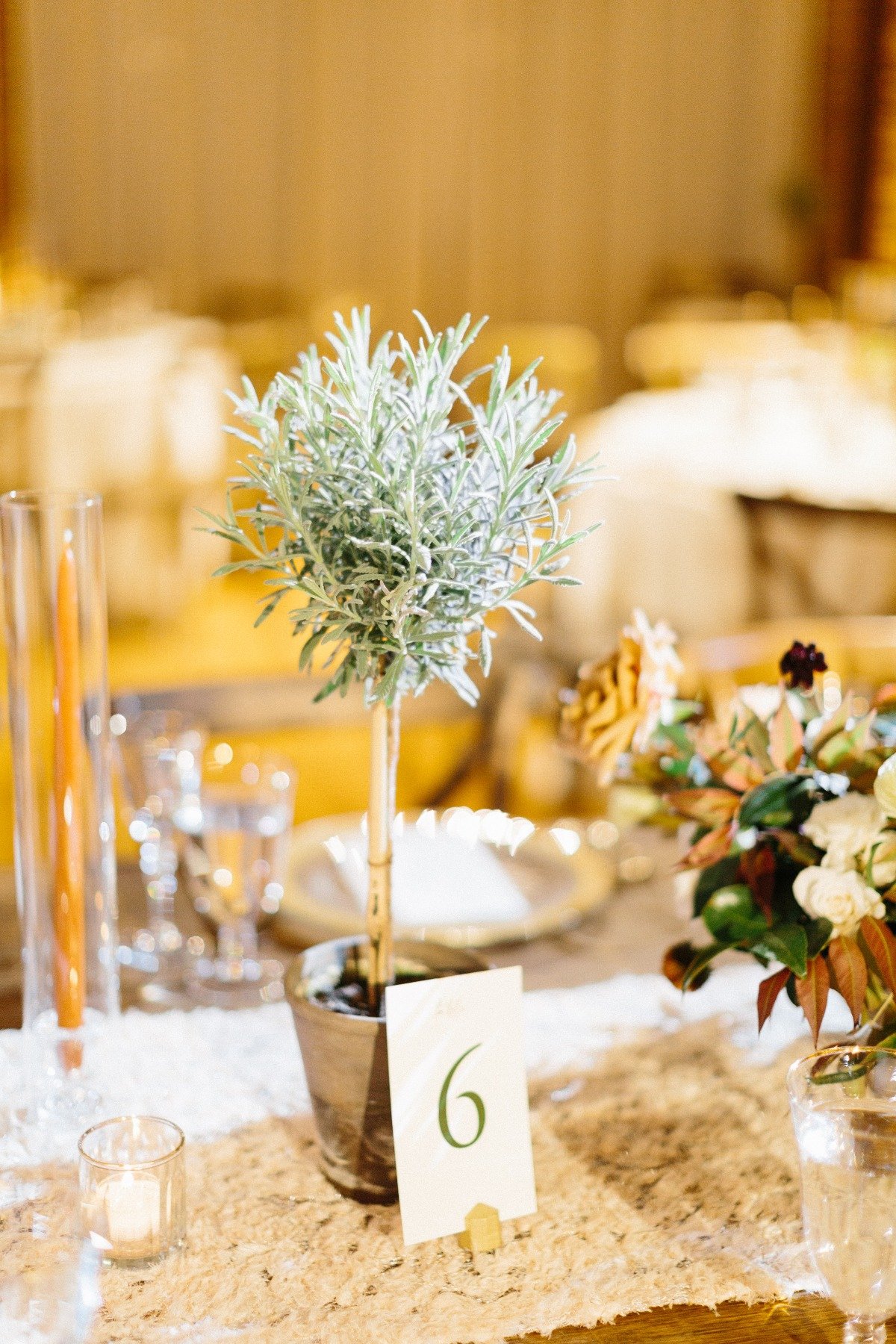 olive tree table numbers