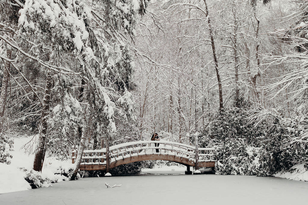 Snowy Winter Wedding