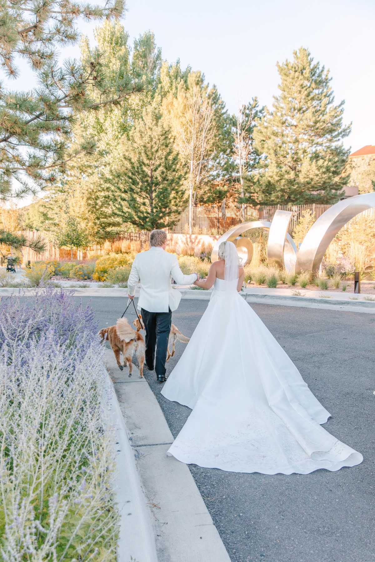 dog wedding photo idea