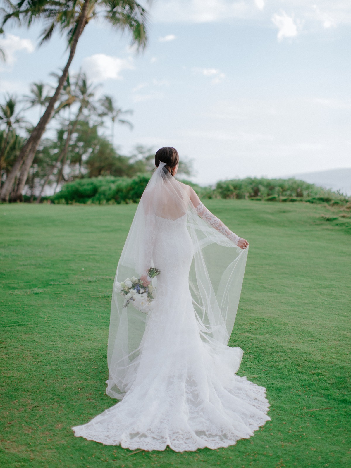 simple cathedral length veil