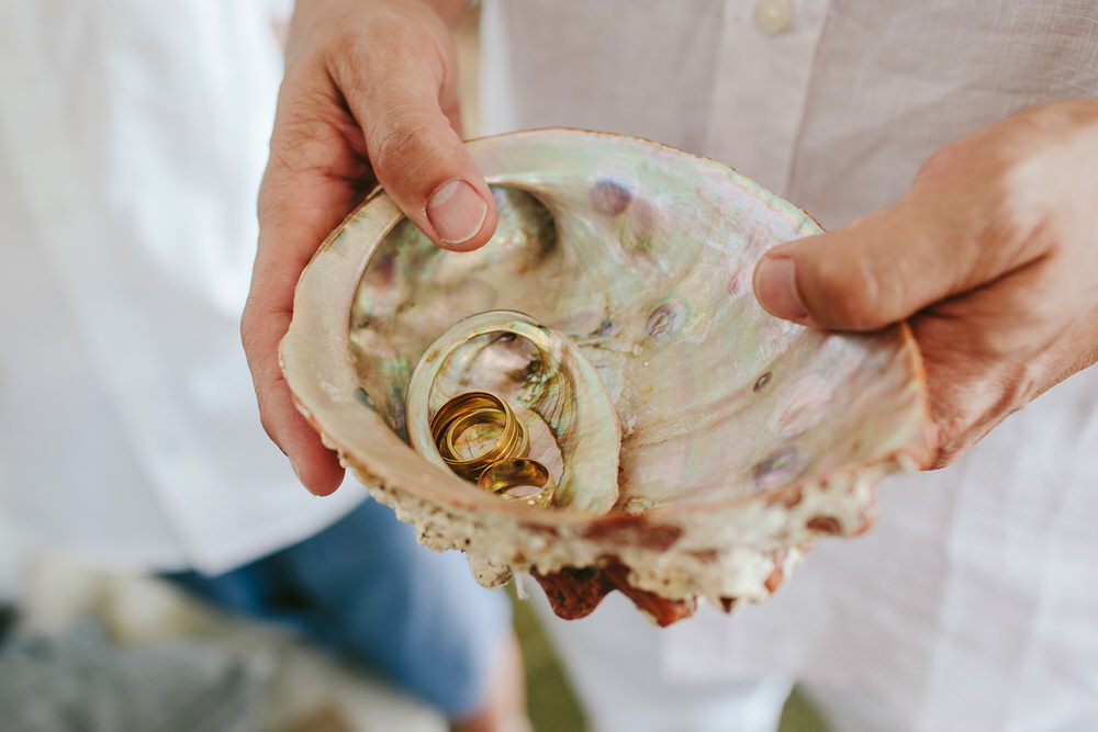 wedding rings in a massive shell