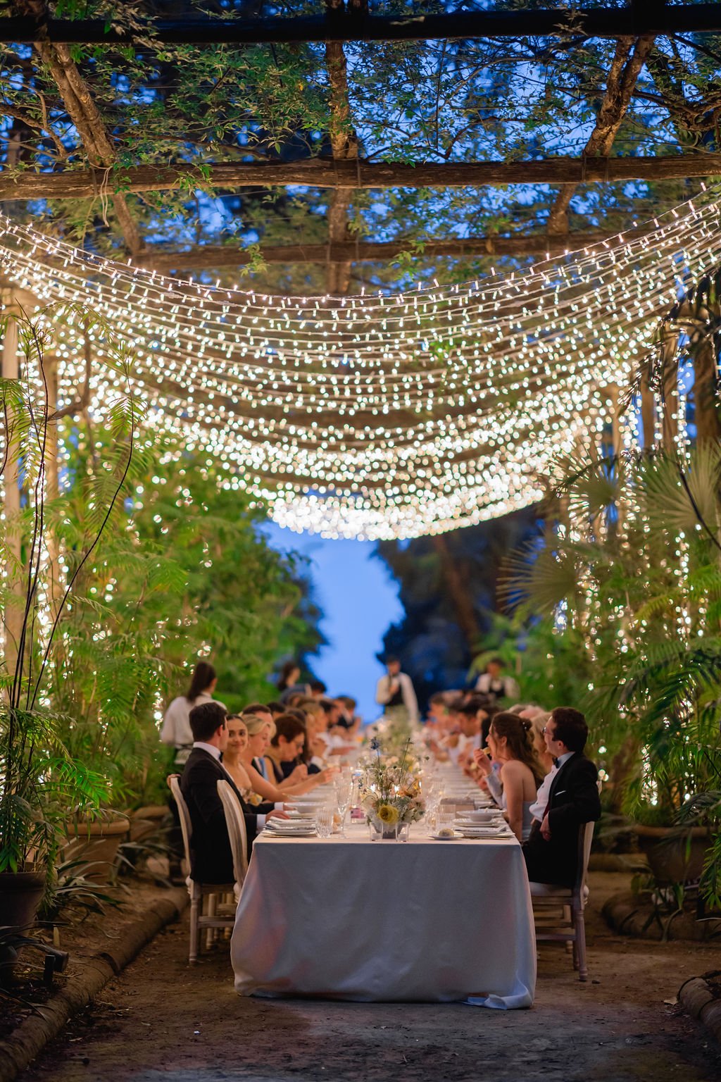 canopy of string lights