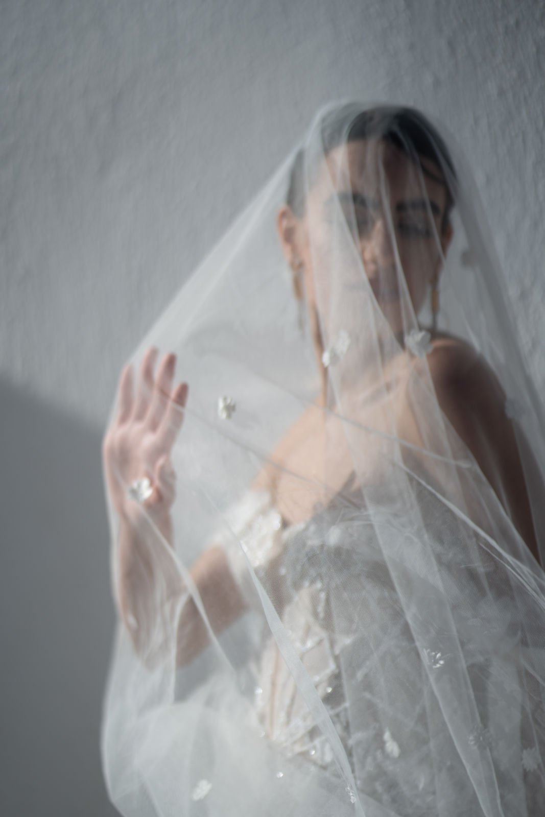 wedding photography ideas with veil