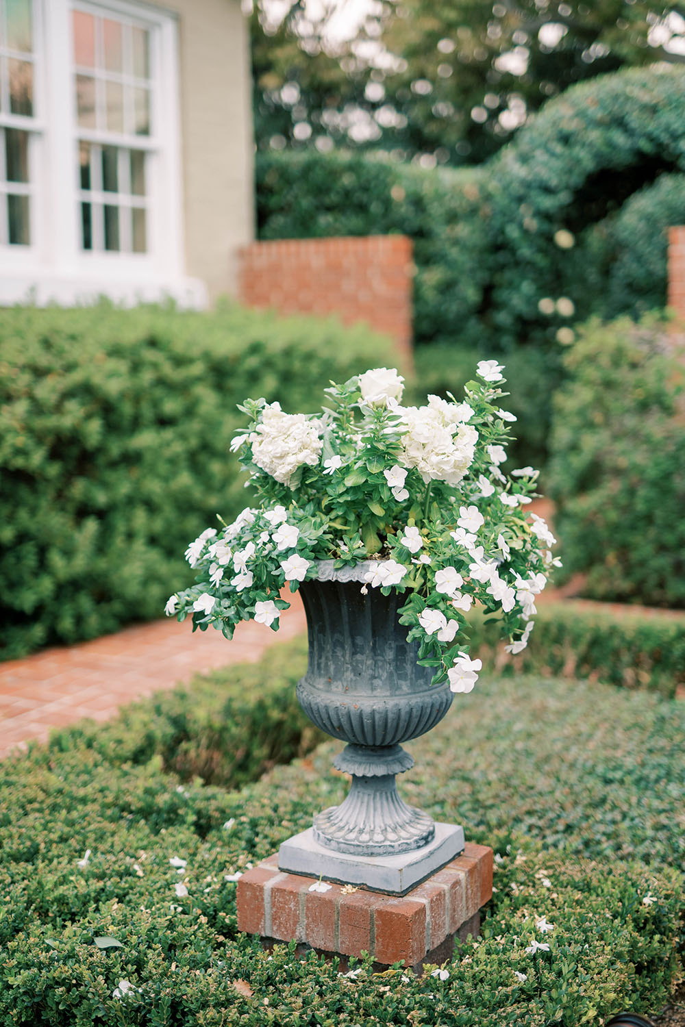 Blue Hydrangea Garden Wedding British Asian Influence