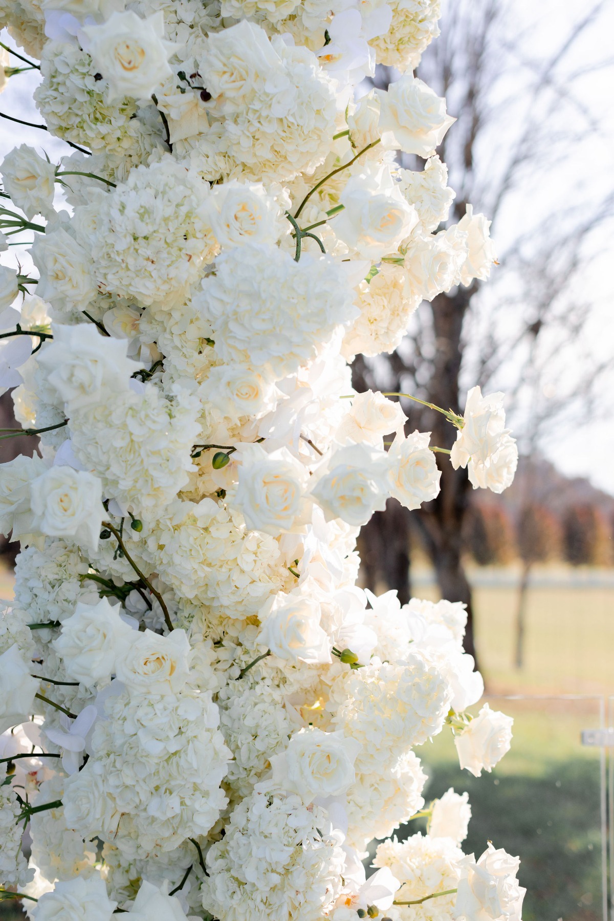 all white wedding flowers with no greenery