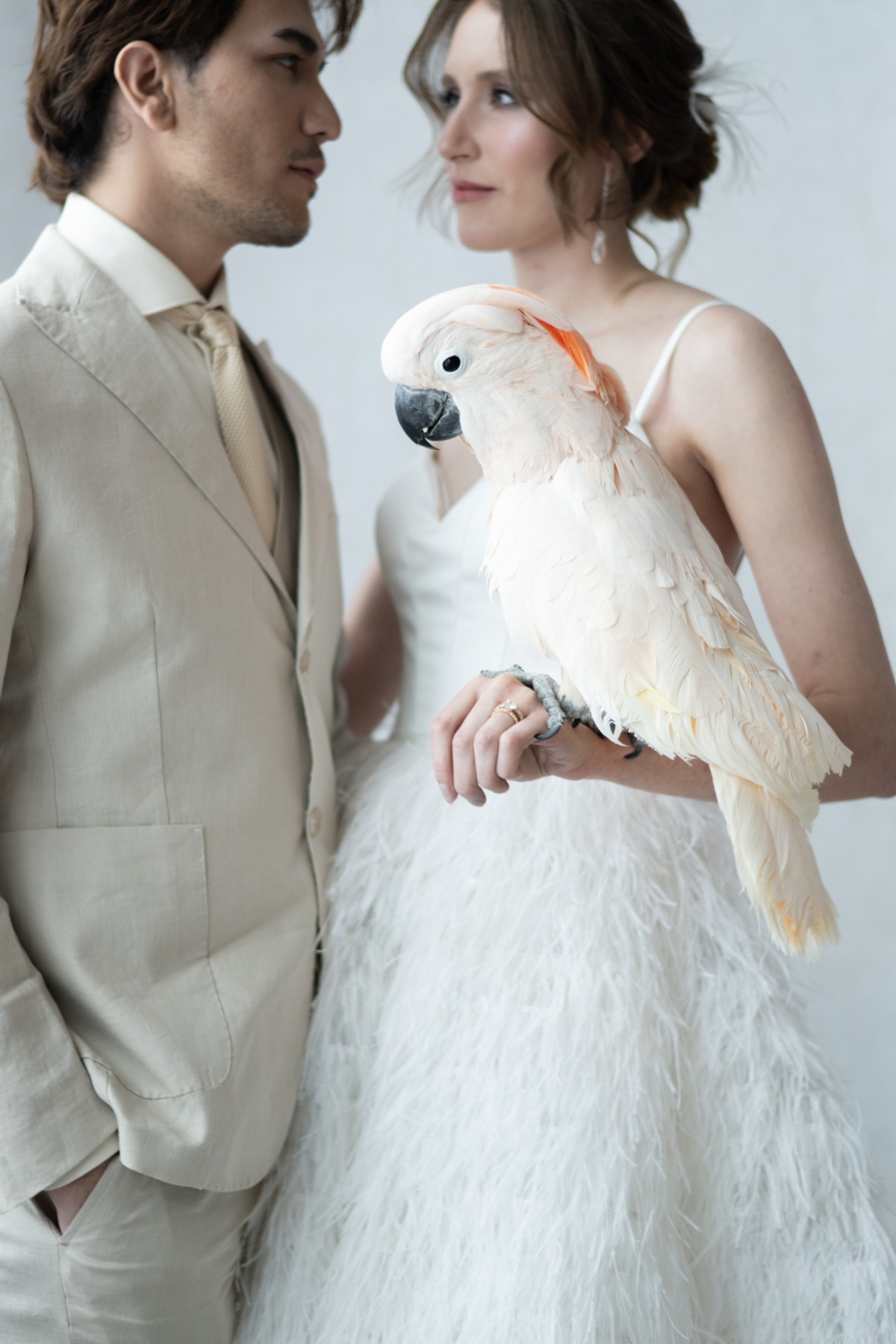 birds-of-a-feather-wedding-chicks-44