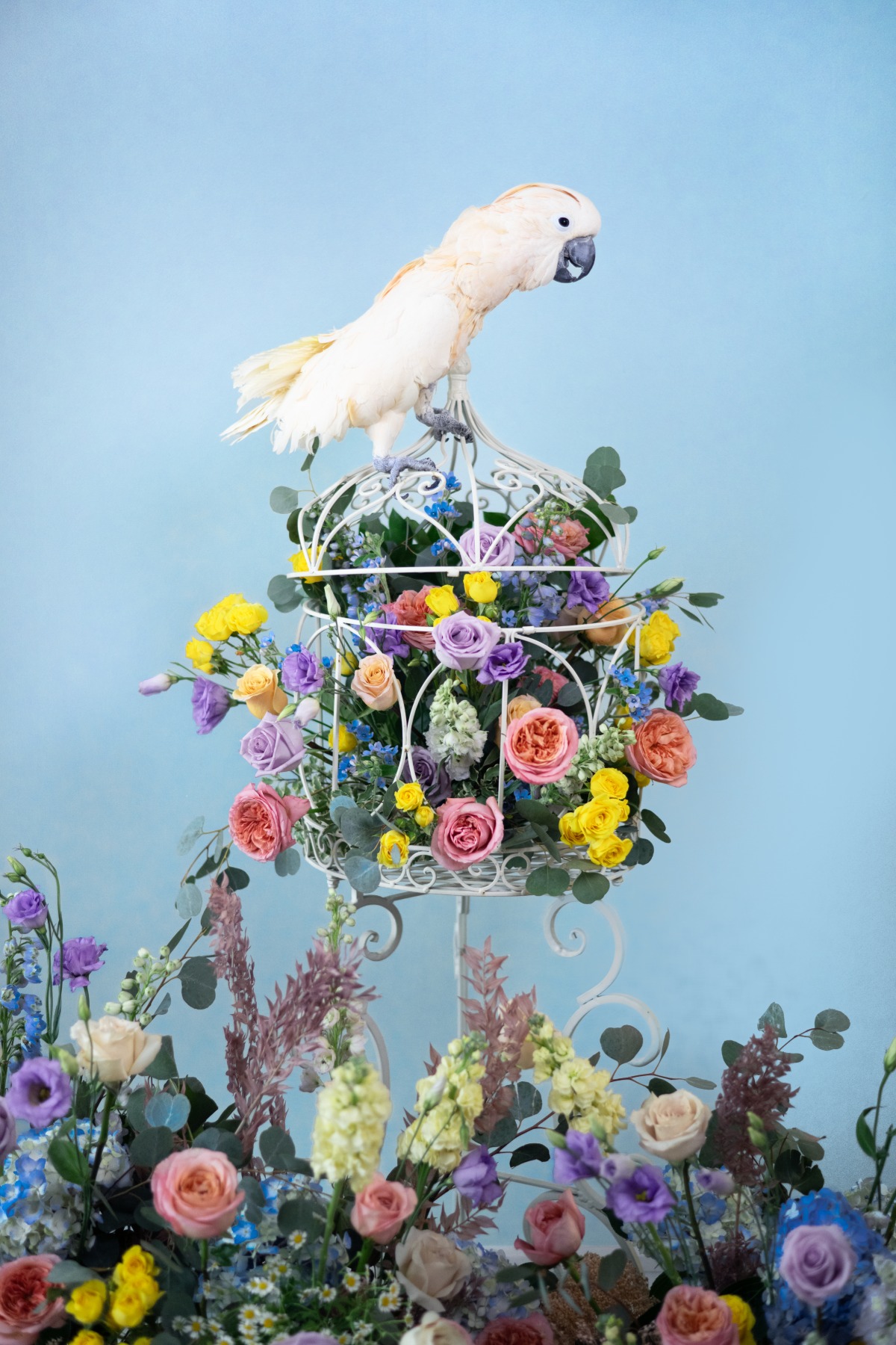 birds-of-a-feather-wedding-chicks-23