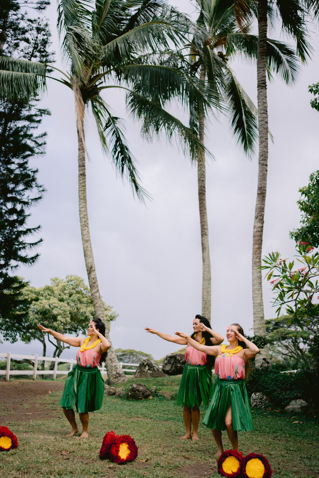hula dancers for wedding hawaii