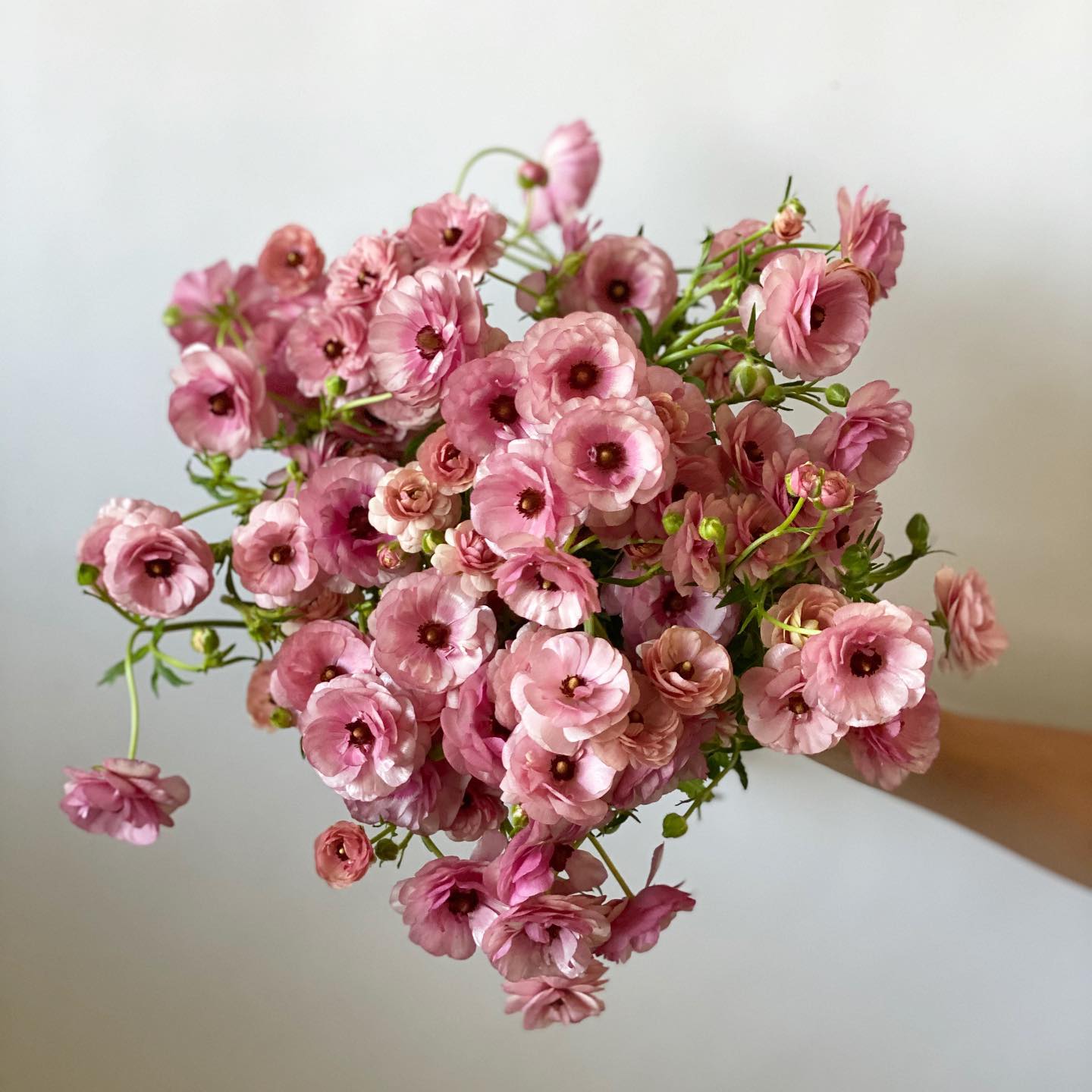Vivid Summer Bouquets Bright Wedding Palettes
