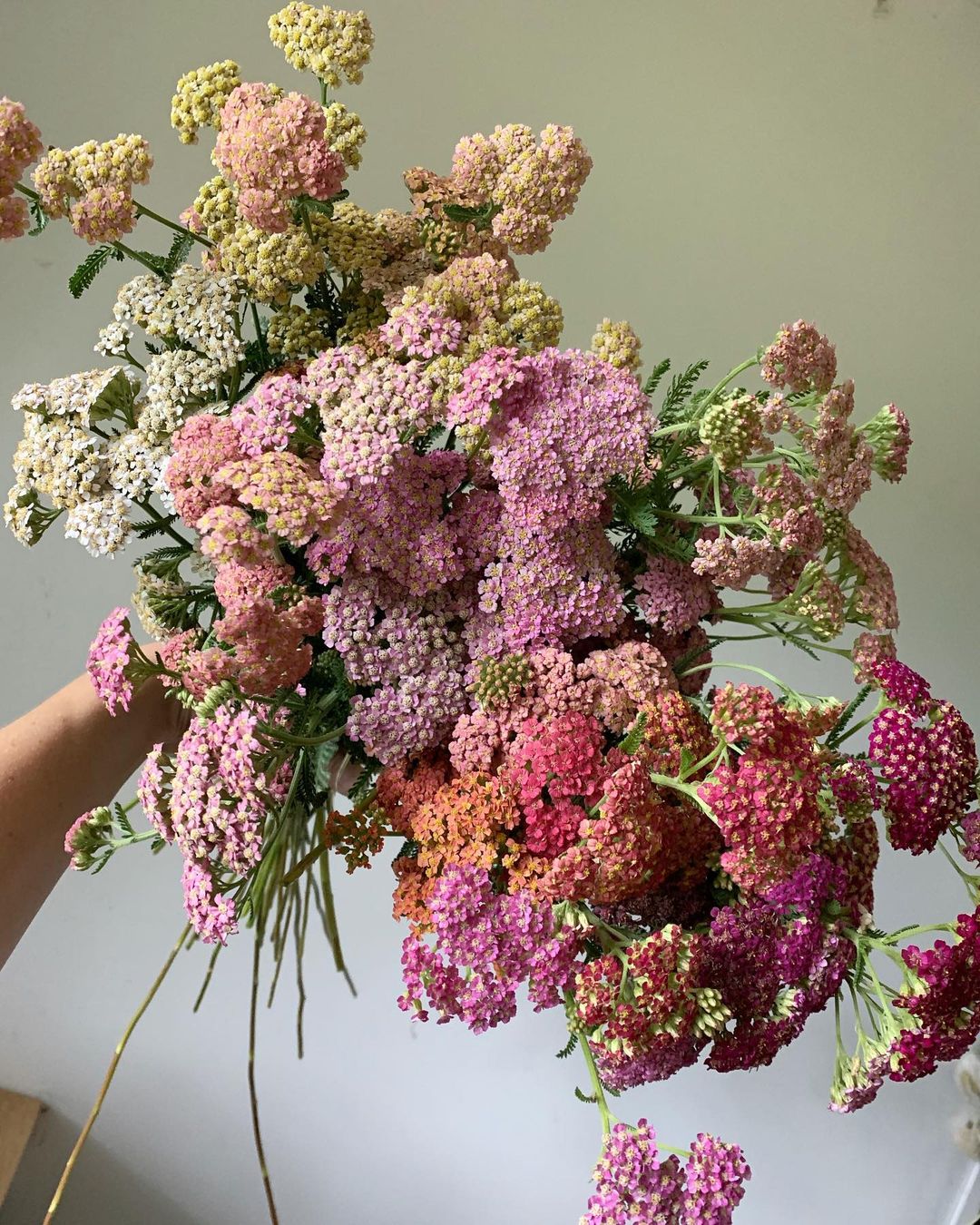 Vivid Summer Bouquets Bright Wedding Palettes