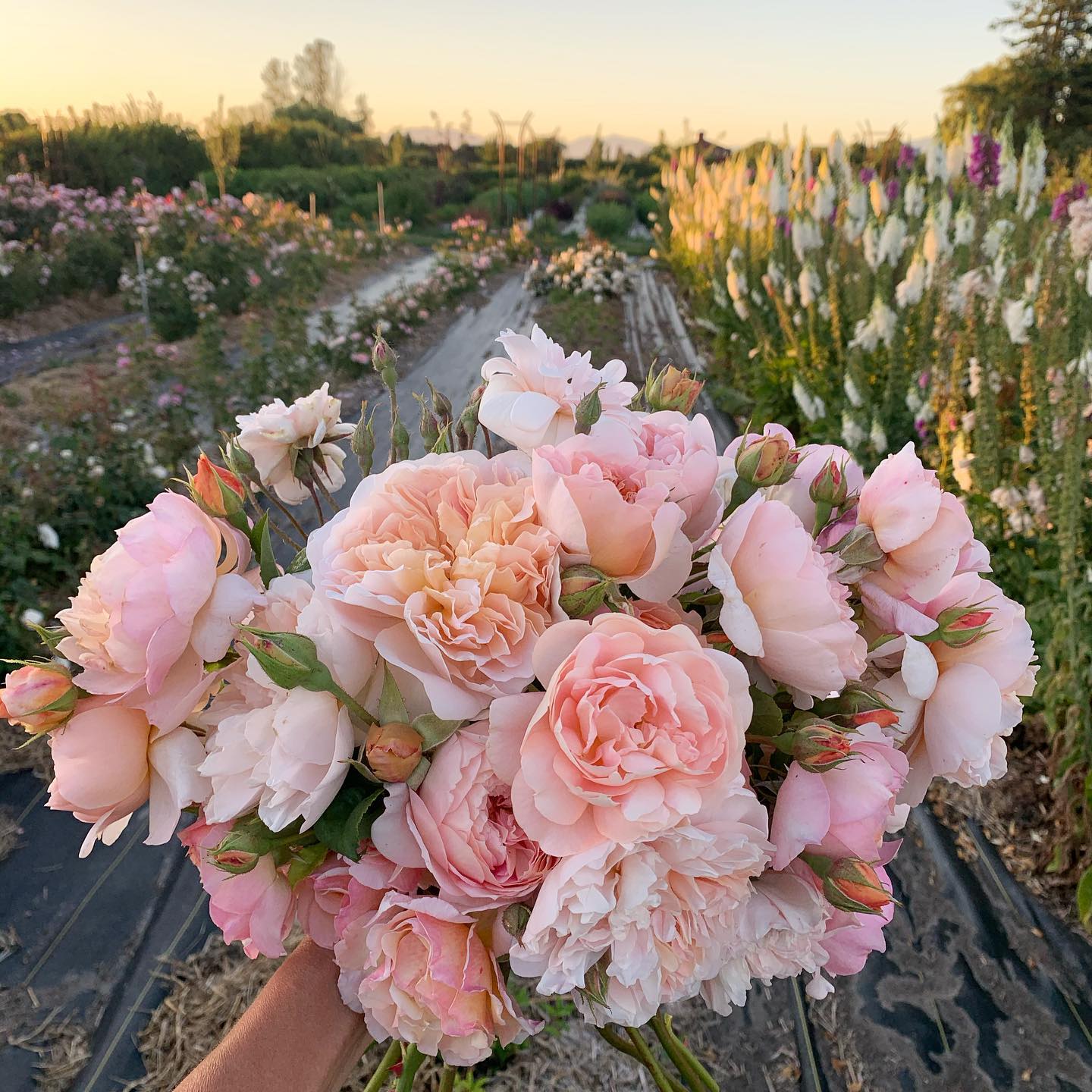 Vivid Summer Bouquets Bright Wedding Palettes