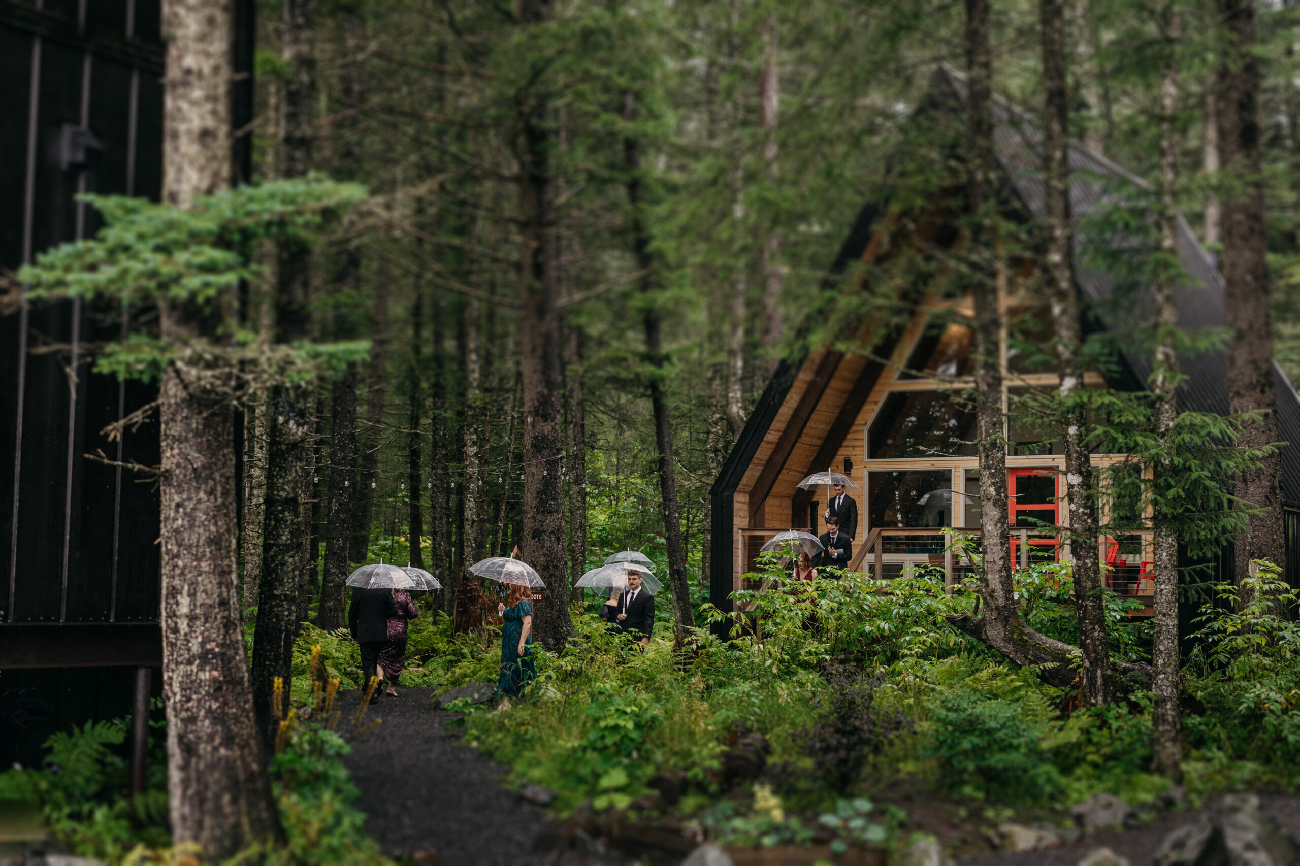 Alaska Elopement Photographer