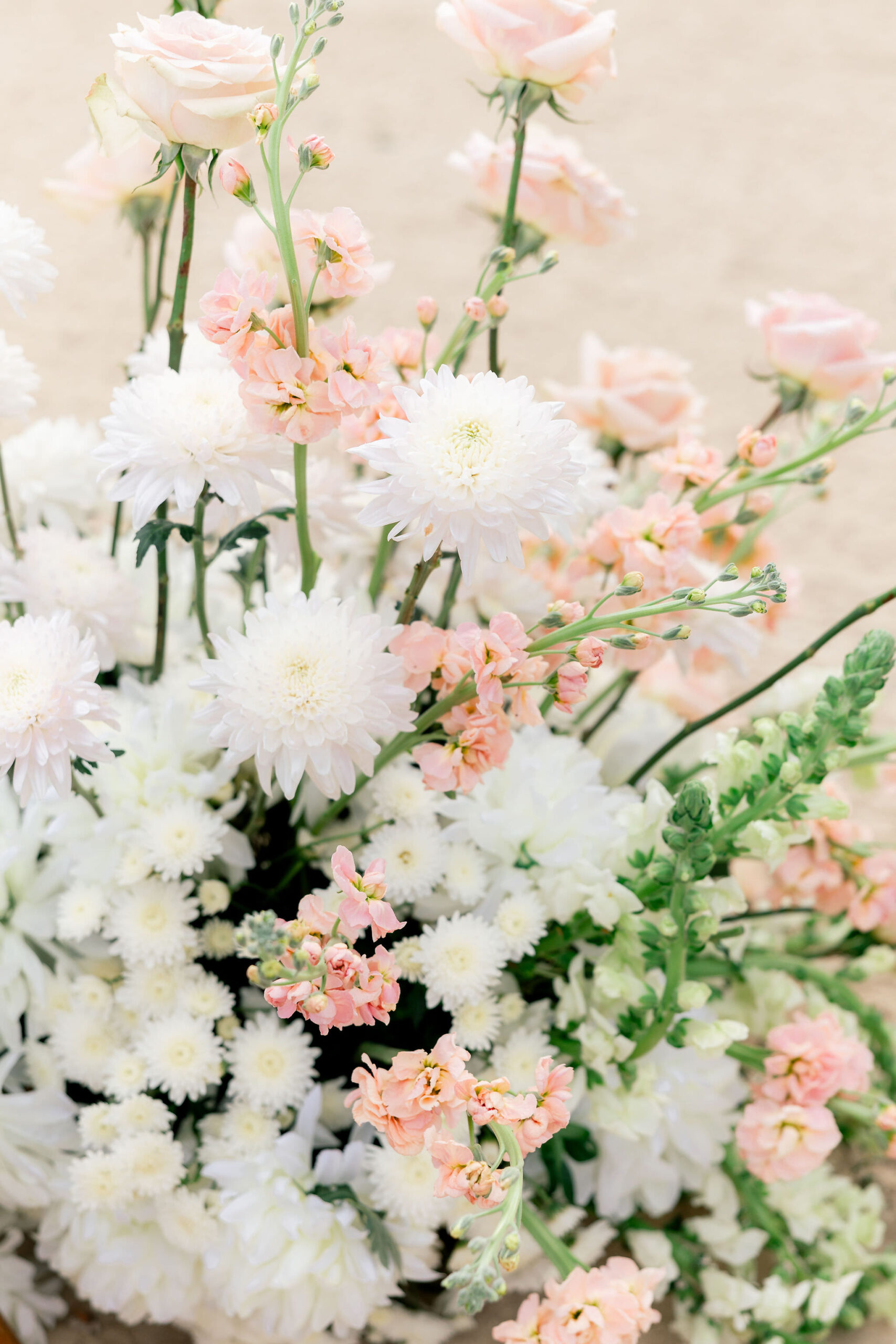 Rivieramaya Wedding