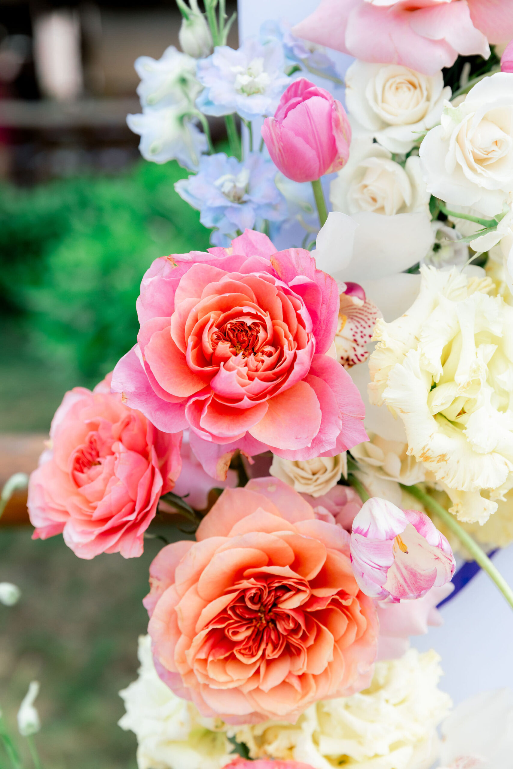 Rivieramaya Wedding