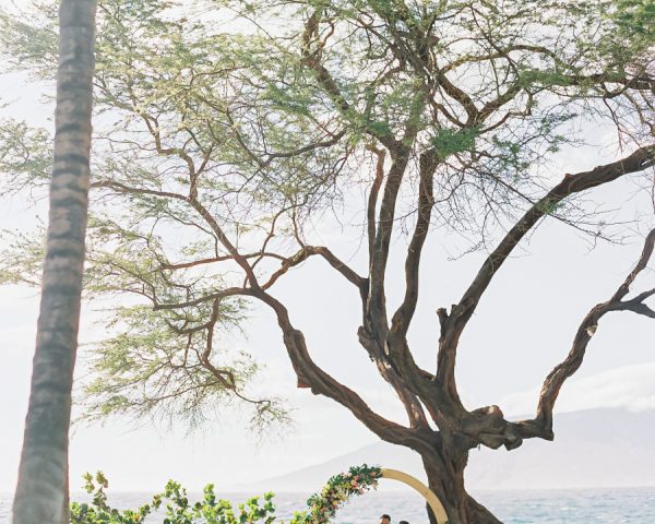 A U-Shaped Celebration of Love and Light in Maui