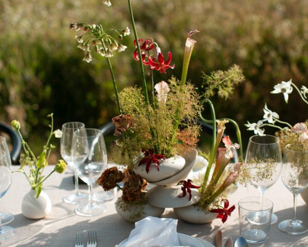 A Love Story Set Against the Northern California Coastline at The Sea Ranch Lodge