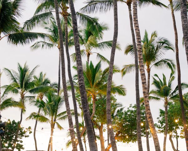 A Sunset-Inspired Celebration of Color and Natural Beauty in Kailua-Kona