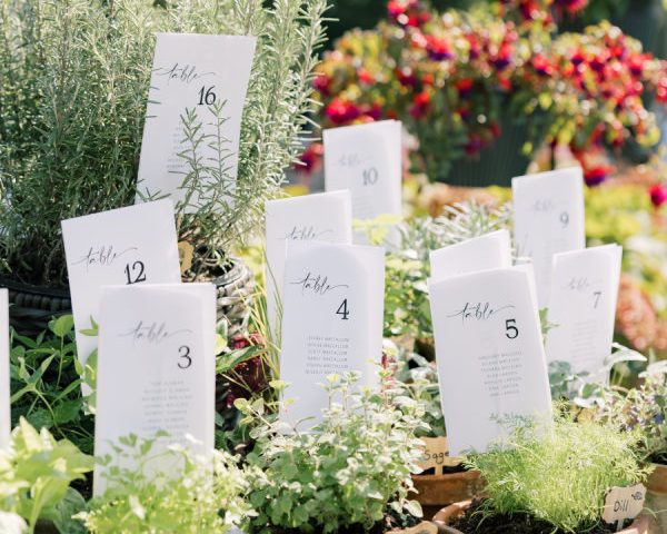 A Rambling English Garden Aesthetic With Mossy Textures and Trailing Greens